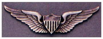 U.S military pilot badge