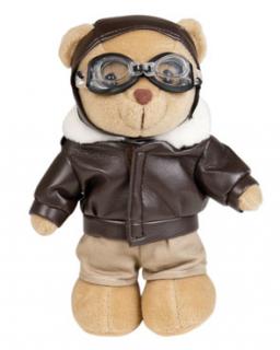 Bear Teddy pilot